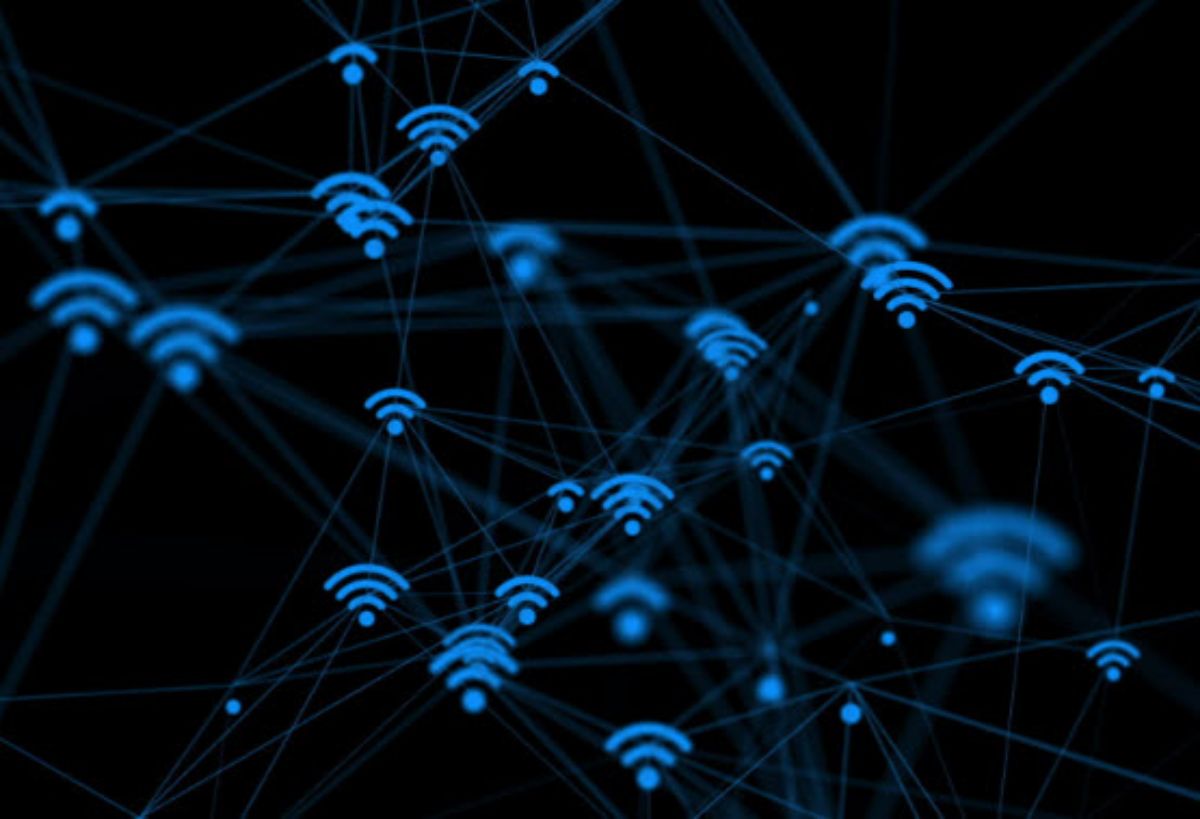 Picture of Fiber Standard 300