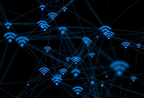 Picture of Fiber Standard 300